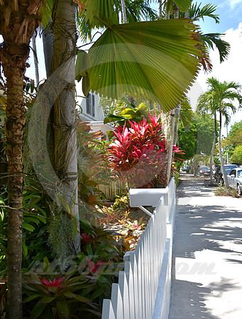 KEY WEST #23 (Key West FL)