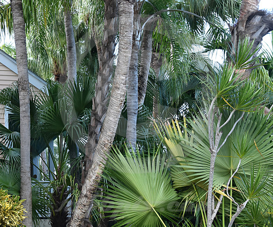 KEY WEST #131 (Key West FL)