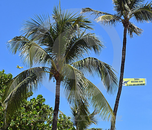 MIAMI BEACH #12 (Miami Beach FL)