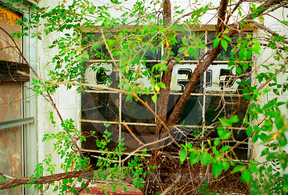 CAFE SIGN AND TREE (Rt 66 Glenrio TX)