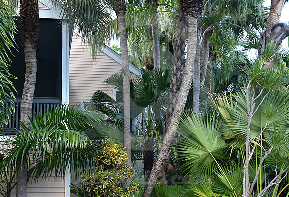 KEY WEST #4 (Key West FL)