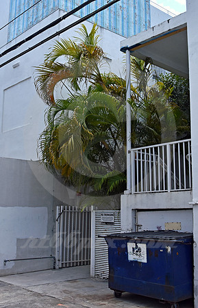 MIAMI BEACH #155 (Miami Beach FL)