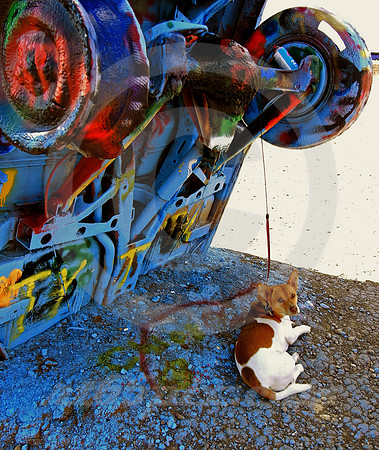 DOG IN SHADE (Rt 66 Cadillac Ranch TX)