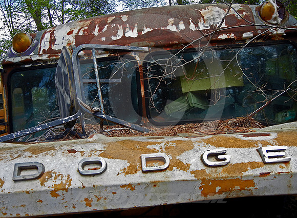 DODGE SCHOOL BUS (Lufkin TX)