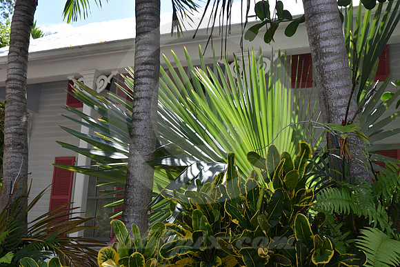 KEY WEST #25 (Key West FL)