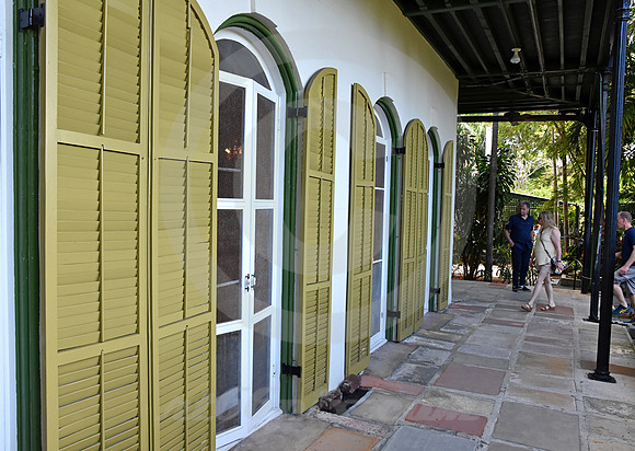 HEMINGWAY #16 (Key West FL)