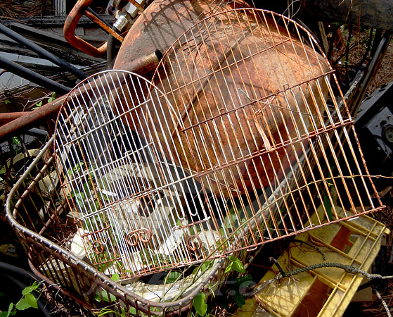 BIRD CAGE & SHOPPING CART (Lufkin TX)