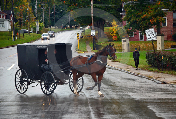 AMISH LEFT (Lincoln Highway Wooster OH)