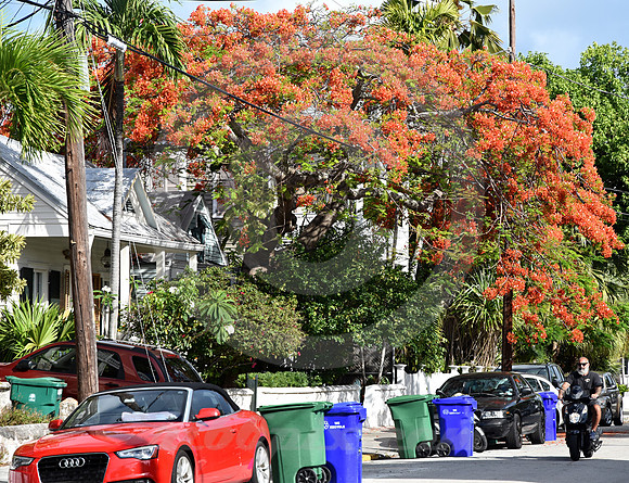 KEY WEST #111 (Key West FL)