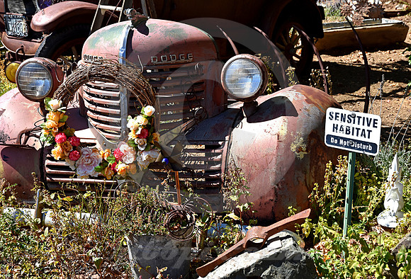 FOLK ART #1 (Virginia City NV)
