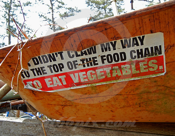 FOOD CHAIN (Lufkin TX)