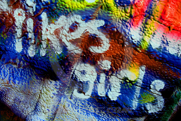 LIKES GIRLS (Rt 66 Cadillac Ranch TX)