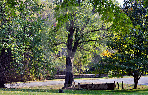 BYPASSED STONE BRIDGE (National Road nr Claysville PA)