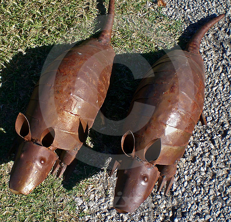 ARMADILLO LAWN ORNAMENTS (Canton TX)