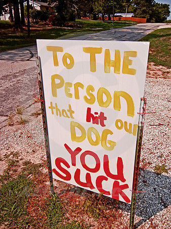 YOU SUCK (Rt 66 nr Carthage MO)