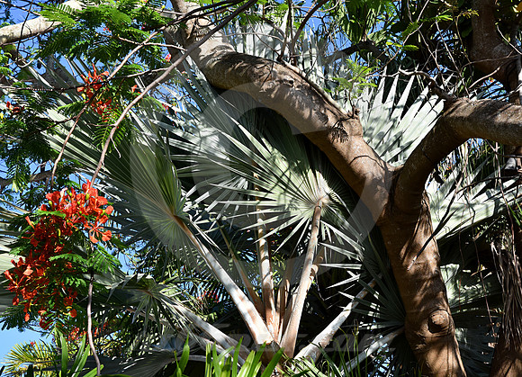 KEY WEST #69 (Key West FL)