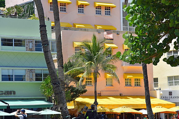 MIAMI BEACH #145 (Miami Beach FL)
