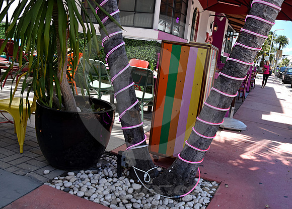 MIAMI BEACH #162 (Miami Beach FL)