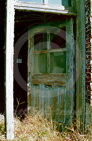 OPEN DOOR AND GIANT WEED (Cairo IL)