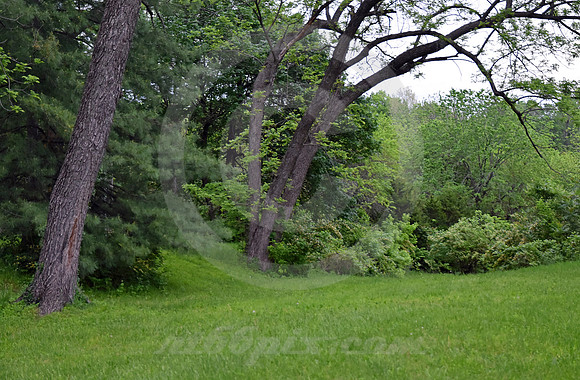 WIEDUWILT SWALES #1 (Kansas City MO)