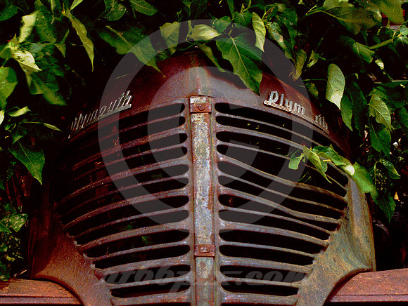 RUSTED PLYMOUTH GRILLE & VINES (Rt 66 Erick OK)