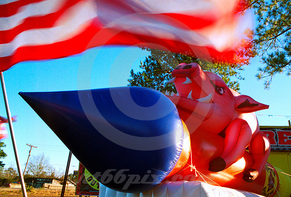 HOG WILD FIREWORKS (Jasper TX)