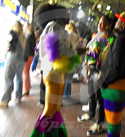 MARDI GRAS #248 (New Orleans LA)