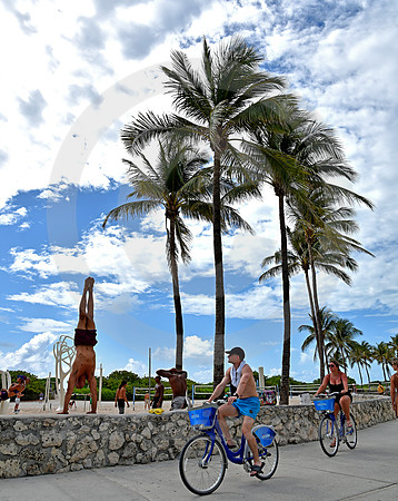 MIAMI BEACH #264 (Miami Beach FL)