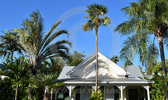 KEY WEST #95 (Key West FL)