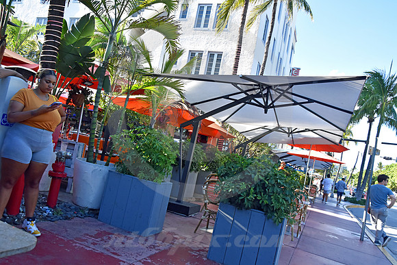 MIAMI BEACH #210 (Miami Beach FL)