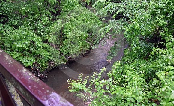 SAPLING GROVE #2 (Overland Park KS)