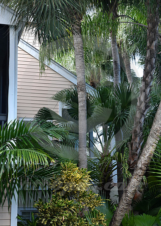 KEY WEST #34 (Key West FL)