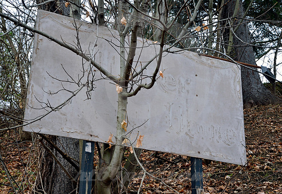 SIGN & TREE (National Road Brownsville PA)