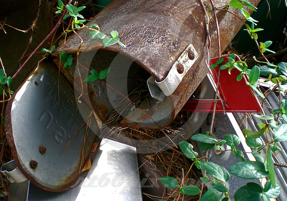 U.S. MAIL BOX (Lufkin TX)