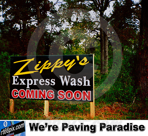 We're Paving Paradise