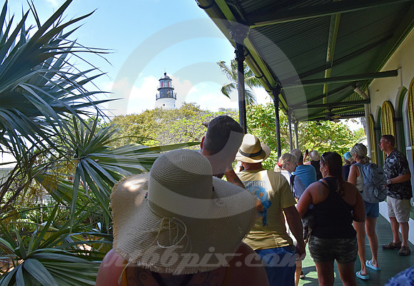 HEMINGWAY #15 (Key West FL)