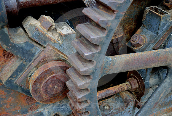 COGWHEEL (Georgetown CO)