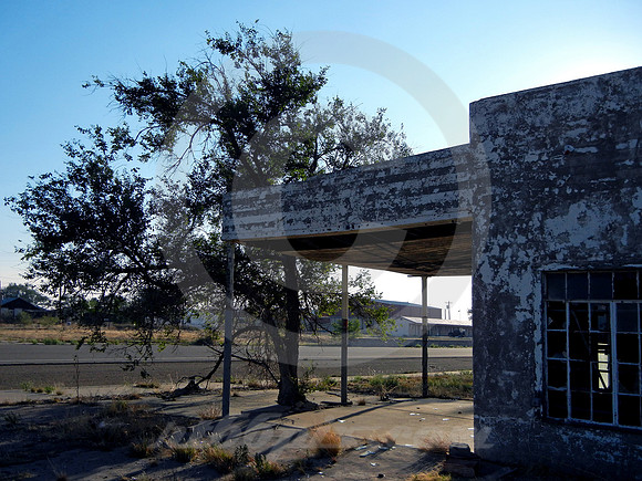 ABANDONED TEXACO & TREE (Rt 66 San Jon NM)