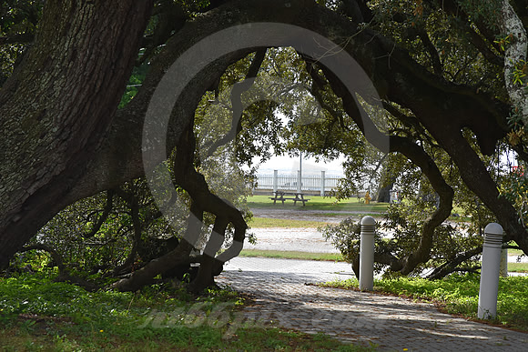 BILOXI #1 (Biloxi MS)