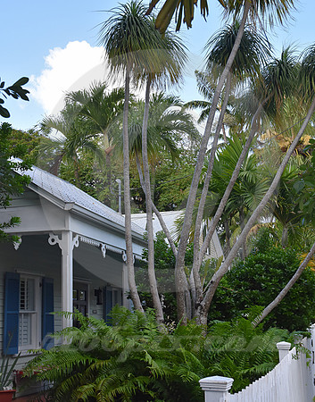KEY WEST #101 (Key West FL)