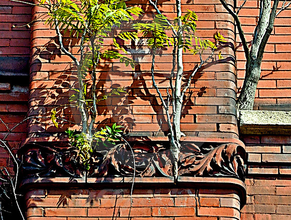 TREES IN TERRA COTTA (National Road Wheeling WV)