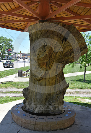 POST OFFICE OAK #2 (Council Grove KS)