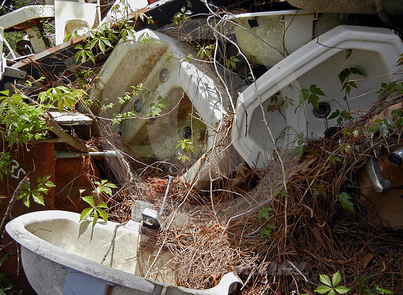 PORCELAIN STILL LIFE (Lufkin TX)