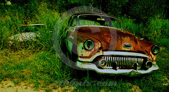 TWO BUICKS (@'52 & '60) EMERGING FROM WEEDS (Rt 66 MO)