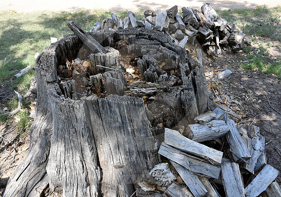 BOGGSVILLE #2 (nr Las Animas CO)