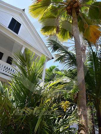 KEY WEST #143 (Key West FL)