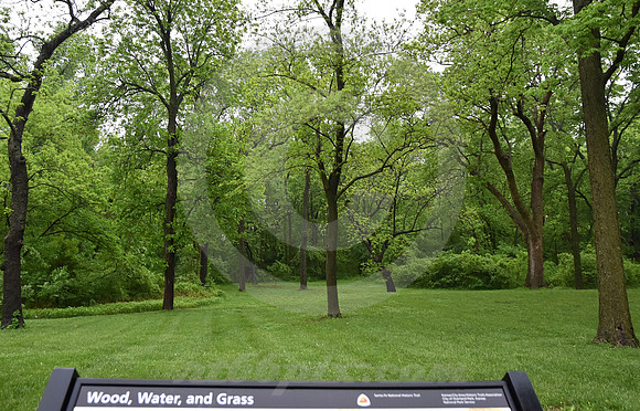 SAPLING GROVE #1 (Overland Park KS)