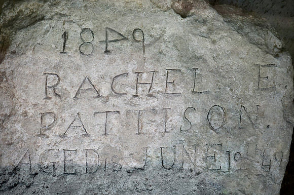 CHOLERA VICTIM (nr Lewellen NE)
