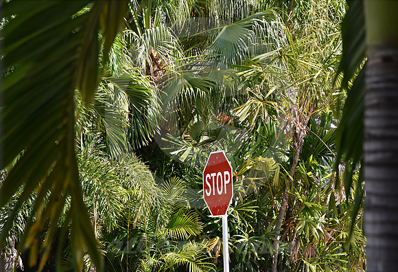 KEY WEST #5 (Key West FL)