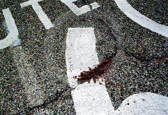 SHIELD SECTION ON ASPHALT (Rt 66 nr Devore CA)